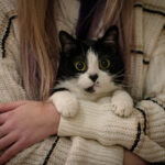 2025 Cat Parenting Trends: Essential Tips for Cat Owners