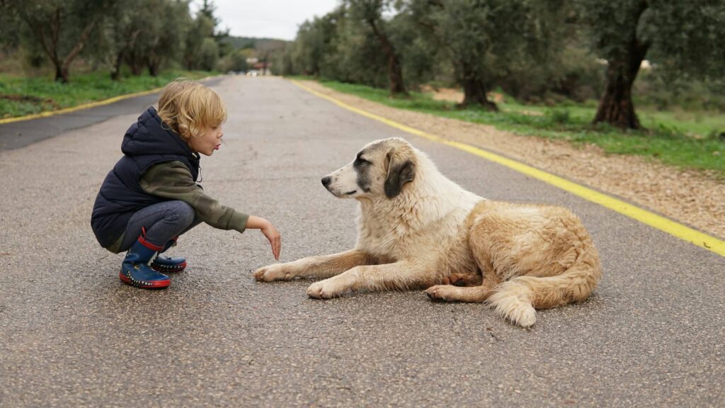 2025 Dog Parenting Trends: Essential Tips for Dog Owners