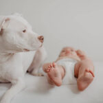 Welcoming a New Pet with a Newborn: A Parent’s Guide to Training and Bonding