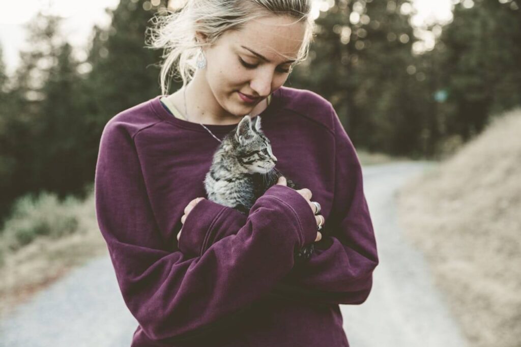 cat bonding cat training