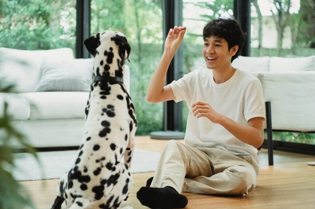 Dog Treat Recipes