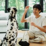 Dog Treat Recipes